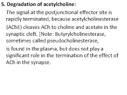 Pdf | the biological effects of latrodectus spider venom are similar in animals from different to date, black widow spider venom has been. Cholinergic Agonists 1 Dr Dalia Abd Al Kader