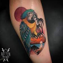 Neo Traditional Parrot Tattoo Parrot Tattoo Tattoos Tattoo Designs