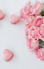 Find over 100+ of the best free pink rose images. Rose Pink Pictures Download Free Images On Unsplash