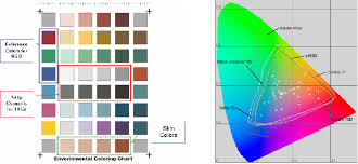 a color correction system using a color compensation chart