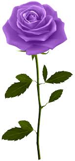 Pin By Marilu Gonzalez On Kliparty Png 1 Pink Rose Tattoos Blue Rose Tattoos Beautiful Rose Flowers
