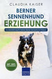 Check out our berner sennen selection for the very best in unique or custom, handmade pieces from our shops. Berner Sennenhund Erziehung Hundeerziehung Fur Deinen Berner Sennenhund Von Claudia Kaiser Portofrei Bei Bucher De