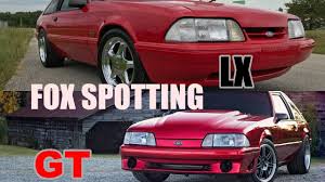 That's why this one might be the. How To Tell The Difference Between A Foxbody Mustang Youtube