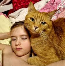 Always sleeping together...like sister's...