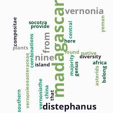 Image result for Distephanus