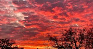 Download the perfect toronto sunset pictures. People In Toronto Couldn T Stop Taking Photos Of Last Night S Stunning Sunset