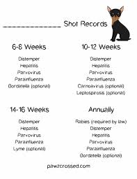 Free Shot Record Printable For All Your Puppies Shots It S Very Important To Keep Track Of Your Dog S Shots As You Ge Puppy Health Pet Health Record Dog Shots