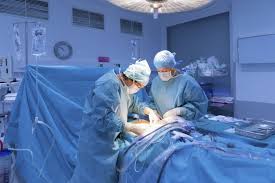 Ingin Jadi Dokter Spesialis Ini 4 Tahap Dimulai Sarjana Kedokteran Halaman All Kompas Com