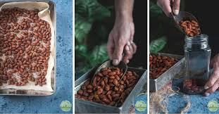 Roasted Salted Almonds - A Vegan Snack – Cookilicious