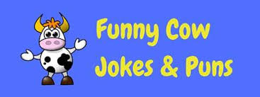 The problem with trouble shooting is that trouble shoots back. 55 Funny Cow Puns And Jokes Laffgaff Home Of Laughter