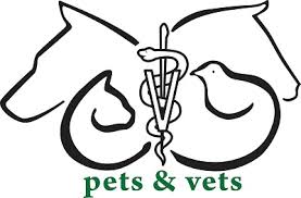 It's our passion here to take care of your fury babies & provide the best service possible! Veterinarian In Miami Beach Fl Pets And Vets Animal Clinic