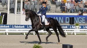 Bekijk meer ideeën over paarden, dressuur, dressuurpaard. Trauer Bei Edward Gal Glock S Zonik Ist Tot Sport News Reiterrevue International