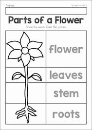 Spring Preschool Worksheets Activities Distance Learning Spring Preschool Spring Worksheets Preschool Spring Lessons