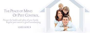 Pests live outside but will try to infest the walls of your home. Termite Pest Control Black Knight Pest Temecula Ca