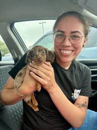 Nursing home dog visitation and training programs