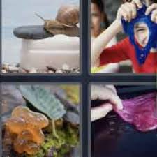 Man on top of mountain. 4 Pics 1 Word 5 Letters Answers Easy Search Updated 2021