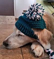 Doggie Beanie Dog Hat Crochet Dog Hat Dog Pom Pom Hat Dog Clothes Winter Hat Crochet Beanie Pet Clothes By Diy Dog Sweater Crochet Dog Large Dog Clothes
