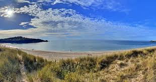 One-year high-frequency environmental and behavioral data from ALAN experience in a French coastal area – Nature