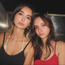 What are some good Torani alternatives?