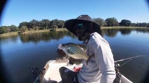 Broward County Crappie Killa LLC. Hunting local Crappie in a lake near you  🤙🏾🎣💯