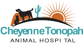Our freshwater aquarium fish selection includes, but is not limited to barbs, bettas, cichlid, catfish. Homepage Cheyenne Tonopah Animal Hospital