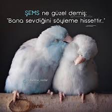 Sems Ne Guzel Demis Bana Sevdigini Soyleme Hissettir Hayirli Aksamlar Dilerim Mawimsi Notlar Yeni Ask Sozleri Ozlu Sozler Guzel Soz