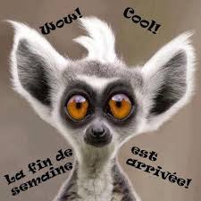 Résultat de recherche d'images pour "gifs c'est vendredi"