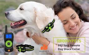 800M Remote Dog Training Shock Collar Waterproof for 3 Small Medium Large  Dogs