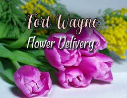 Check spelling or type a new query. The 5 Best Options For Flower Delivery In Holland Michigan 2021