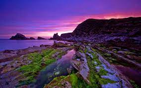 This picturesque beach sunset will make you feel like you're there, rather than at your computer. Wallpaper Beautiful Purple Sunset Coast 1920x1200 Hd Picture Image