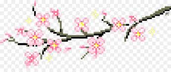 Cherry Blossom Tree Png Download 982 396 Free Transparent Tenor Png Download Cleanpng Kisspng