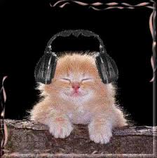 Résultat de recherche d'images pour "chat qui ecoute de la musique"