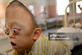 400 New York Veterans Hospital Stock Photos, High-Res Pictures, and Images 