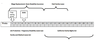 using sick vacation and pto while receiving sdi and pfl