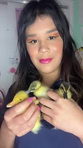 🐣🌈 Happy Easter Day picture of baby ducklings country. #ducklings #cute  #babyduck #easter #foryou #babies