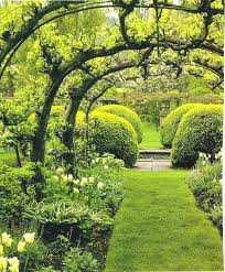 Apple Tree Arches Beautiful In 2020 Beautiful Gardens Dream Garden Outdoor