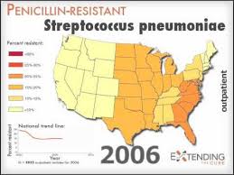 Image result for Penicillin Resistant Pneumococcus