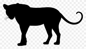 Free download of png, cliparts, icons and backgrounds. Leopard Felidae Cheetah Black Panther Jaguar Panther Clipart Black And White Stunning Free Transparent Png Clipart Images Free Download