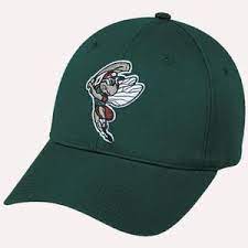 Pin On Minor League Baseball