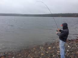 Check spelling or type a new query. Sweetwater Surfcasting Wachusett Reservoir Lake Trout Report