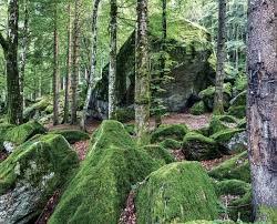 Strada provinciale,9 km 18, val masino, provincia di sondrio 23010. La Foresta Dei Bagni Itinerari Per Tutti In Val Masino