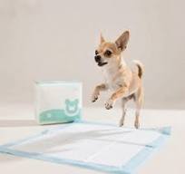 China Manufacturer Private Label Pet Training Pad