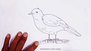 Bird Drawing For Kids Very Easy How To Draw A Bird Drawing Bird Step By Step Very Easy Way Bird Drawings Drawing For Kids Drawings