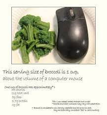 How many calories are in 1 cup of broccoli florets? One Serving Size Of Broccoli Is 1 Cup Which The Same Volume As A Computer Mouse School Nutrition Fun Food Facts Nutrition Store