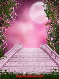 خلفيات وردية للتصميم anazhthsh google photoshop backgrounds photography studio background backdrops backgrounds