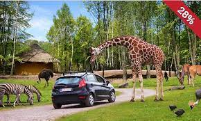 Read about the unique animal experience. Safaripark Monde Sauvage Belgien Tagesticket Fur 13 99 Statt 22 Freizeitparkdeals