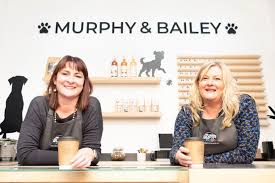 Expert recommended top 3 pet shops in london, uk. Inside The New Pet Boutique In East Belfast And It Even Has A Changing Room For Our Four Legged Friends Belfast Live