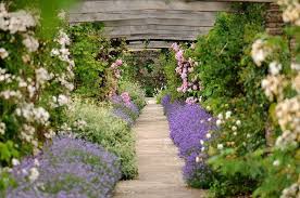 Pin On Gardening