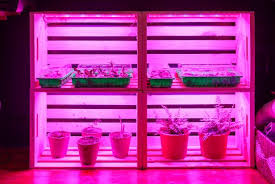 This diy indoor grow light system is a simple and affordable setup that is perfect for starting seeds for your vegetable garden, growing vegetables indoors, and providing light for your indoor herb garden. Diy Grow Stand For Indoor Plants And Seedlings Hgtv