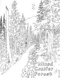 Our free coloring pages for adults and kids, range from star wars to mickey mouse. Forest 157046 Nature Printable Coloring Pages